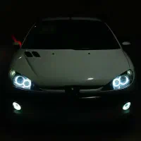 ۲۰۶ تیپ۵ بی رنگ در حدخشک