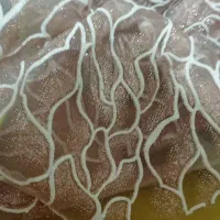 پارچه فروشی