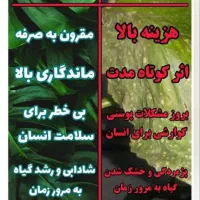 قرص کود|گل و گیاه طبیعی|آبیک, |دیوار