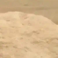 کاه گندم بسیار عالی