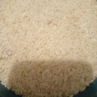 برنج محلی بیرانشهر