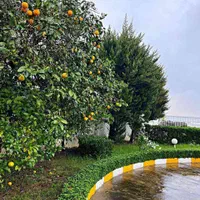 ویلا باغ جنگلی ساحلی شخصی ساز درمجتمع بااصالت|فروش خانه و ویلا|رویان, |دیوار