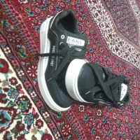 8000000|کیف، کفش، کمربند|قم, ولیعصر|دیوار