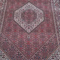 فرش دستباف نو قالیچه با خامه باختر|فرش|ایجرود, |دیوار