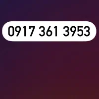 0917-361-3953