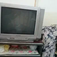 تلویزیون