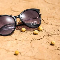 عینک آفتابی اله ELLE|زیورآلات و اکسسوری|کرمان, |دیوار