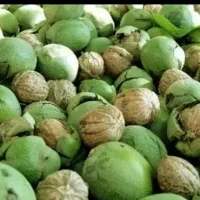 گردو درجه یک سبز
