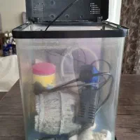 اکواریم