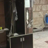 جاکفشی سالم ونو