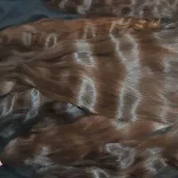 فروش (خریدار (مو) رنگی و خام)|خدمات آرایشگری و زیبایی|دهدشت, |دیوار