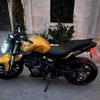 بنلی300 (جفت)