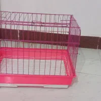 قفس خرگوش