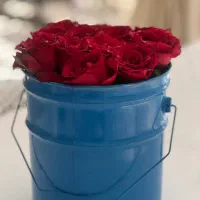 استخدام سرایدار باغ با  جای خواب