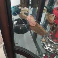 یک عددبوفه دکوری درحدنوبفروش میرسد|بوفه، ویترین، کنسول|شیراز, شهرک سراج‎|دیوار
