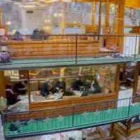 استخدام صندوقدار  و نیروی کار در رستوران کوروش|استخدام خدمات فروشگاه و رستوران|شاندیز, |دیوار