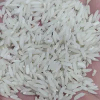 برنج درجه یک مازندران.