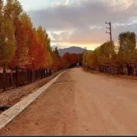 فروش زمین باغ شهری گویم سرچمه