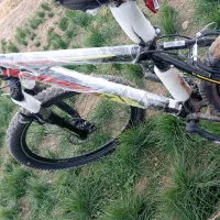 دوچرخه|دوچرخه، اسکیت، اسکوتر|فیروزآباد (لرستان), |دیوار