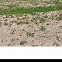 فروش،زمین بردگپی