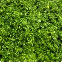 سبزی قرمه و ترش واش گیلانی بادنجان گردو پیاز سرخ|خوردنی و آشامیدنی|لاهیجان, کوی زمانی|دیوار