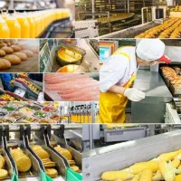 پنچ میلیارد سرمایه گذاری و شراکت میکنم