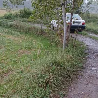 فروش زمین شالی