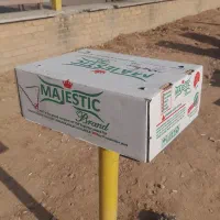 کارتن|عمدهفروشی|تاکستان, |دیوار