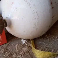 کپسول سی ان جی پراید