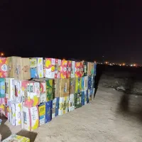 کارتن موزی