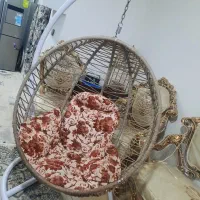 تاپ ریلکس بالاترین کیفیت