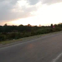 زمین-کشاورزی-مخصوص-باغ