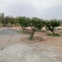 باغ