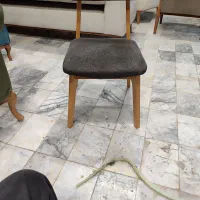 صندلی غذا خوری خام|میز و صندلی غذاخوری|مشهد, گرجی علیا|دیوار