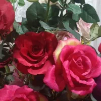 گل رز مصنوعی خارجی با گلدان|گل مصنوعی|همدان, |دیوار