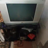 تلویزیون|تلویزیون و پروژکتور|شیراز, تحویلی|دیوار