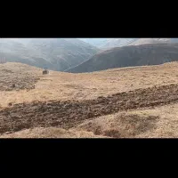 فروش زمین|فروش زمین و ملک کلنگی|طالقان, |دیوار