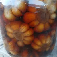 عرضه انواع سبزیجات.ترشیجات .کاملا بهداشتی، خانگی|خوردنی و آشامیدنی|رشت, خرسندی|دیوار