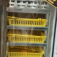 دستگاه جوجه کشی