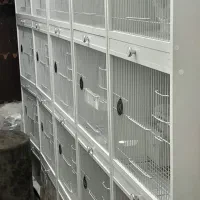 قفس اروپایی مخصوص قناری ،گلدین  وانواع فنچ