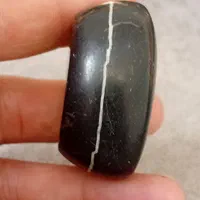 مهره درشت دو پوست باستانی|کلکسیون اشیاء عتیقه|تهران, قناتکوثر|دیوار