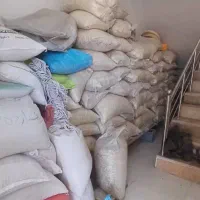 پخش تخمه و‌حبوبات زیر قیمت بازار