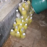 ابلیمو تازه 1لیتری به شرط