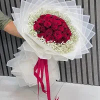 گل رز بمناسبت روز دختر|گل و گیاه طبیعی|شیراز, بعثت|دیوار