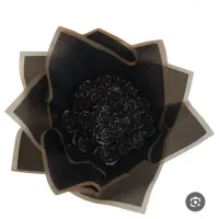 گل رمانی با ربانی