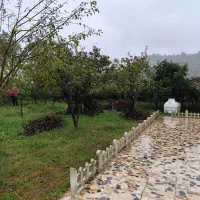 باغ ویلا|فروش خانه و ویلا|لیسار, |دیوار