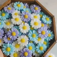 گیفت شمع بابونه