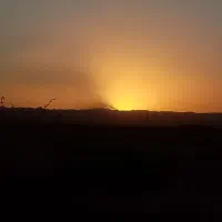 همخونه میشم اقا هستم