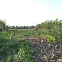 فروش-زمین-400متری-بر-خیابان-اصلی-کردکوی-گرگان