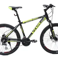 ویوا ۲۶ اصل